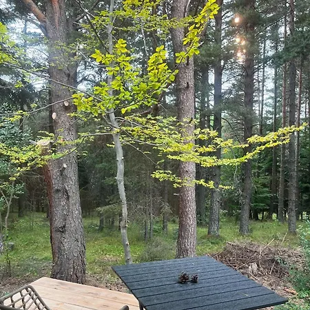 Alpesi faház Zarevo Glamping Forest *