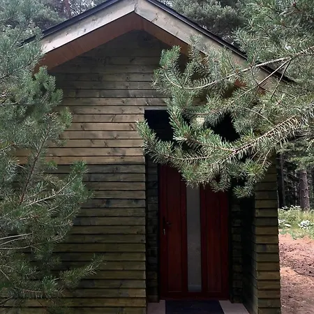 Zarevo Glamping Forest *