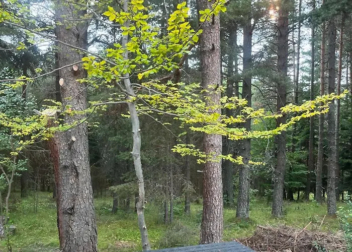 Chalet Zarevo Glamping Forest *