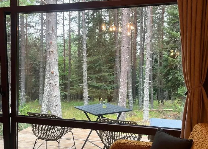 Zarevo Glamping Forest