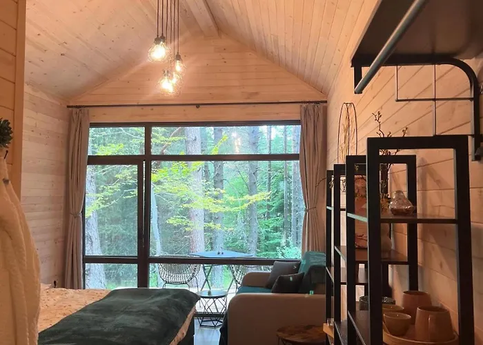 Zarevo Glamping Forest *