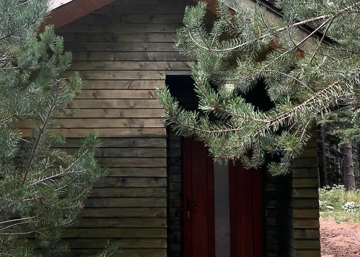 Zarevo Glamping Forest *